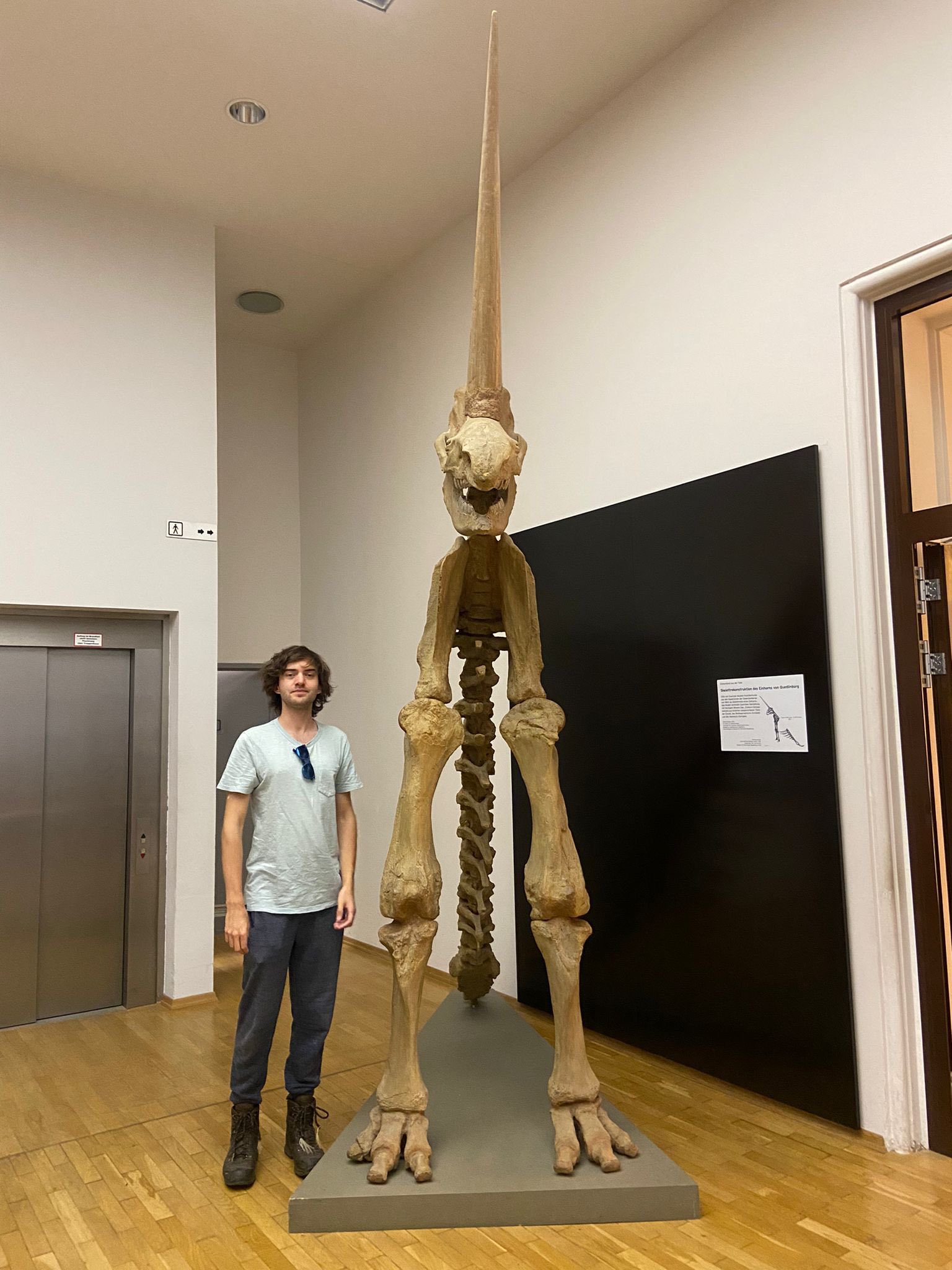 Boyan Slat on Twitter "Rainmaker1973 Seeing it irl has been the