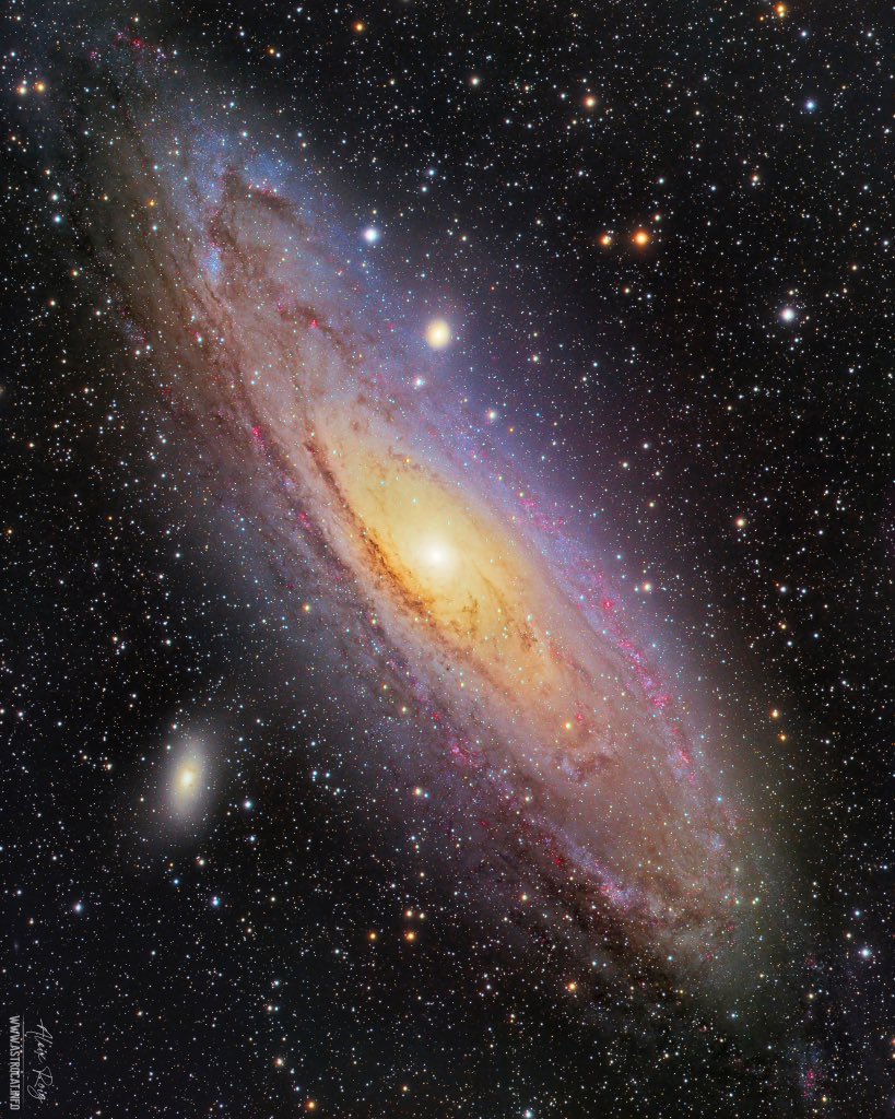 Time to observe this galaxy

📷 From my backyard 🔭