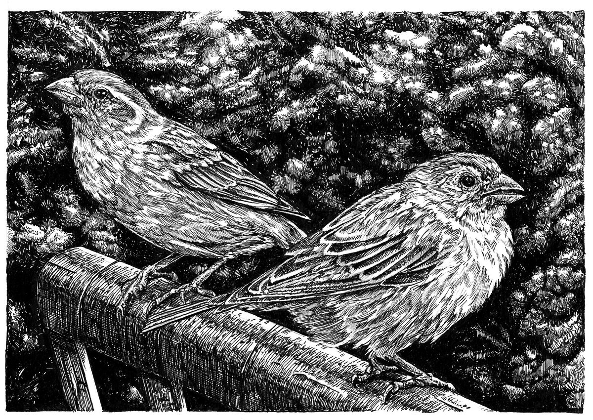 Leike van Oss tweet media