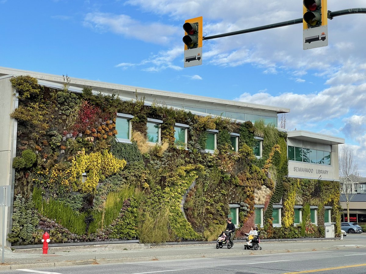 GreenOverGrey's tweet photo. Designed built by @GreenoverGrey in 2010, this #livingwall covering the Semiahmoo Public Library in Surrey was the largest in North America at the time of installation. 12 years later, it remains a thriving hub of biodiversity
@CityofSurrey @inhabitat @surreylibrary #architecture https://t.co/k39OIe8m0b
