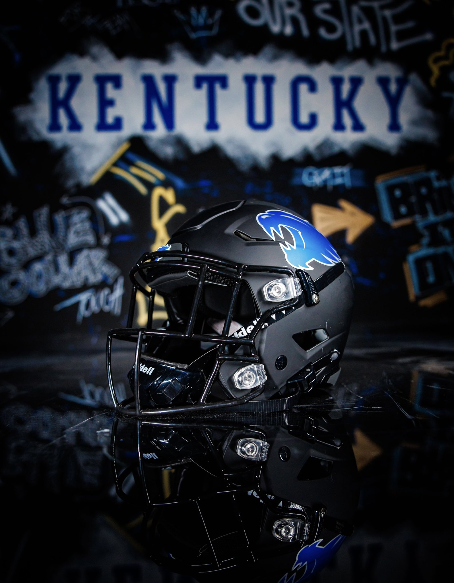 Univ. of Kentucky (Wildcats) Football Helmet Backpack NCAA 3D