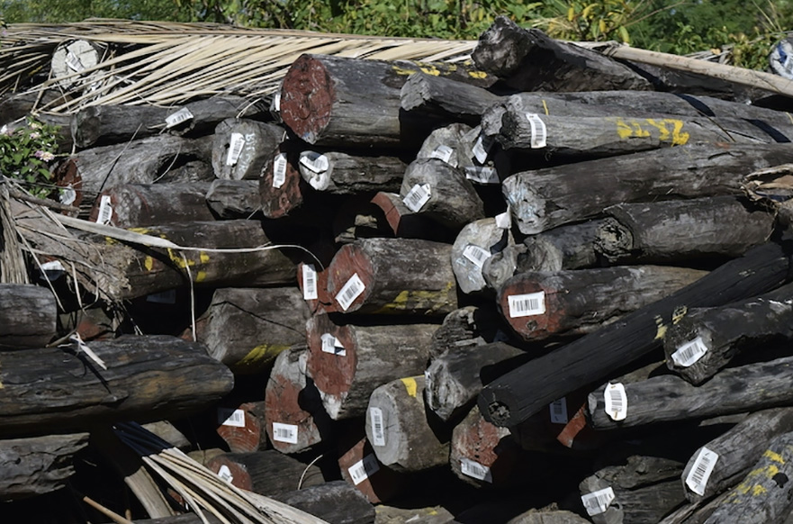 silvatropica's tweet photo. @CITESCoP19 in Panama just finished. The initial conclusions for #Madagascar  #rosewood here. A short 🧵1/5 https://t.co/rLjL1iclHY