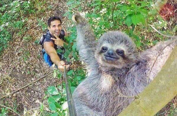 Selfie of the year.