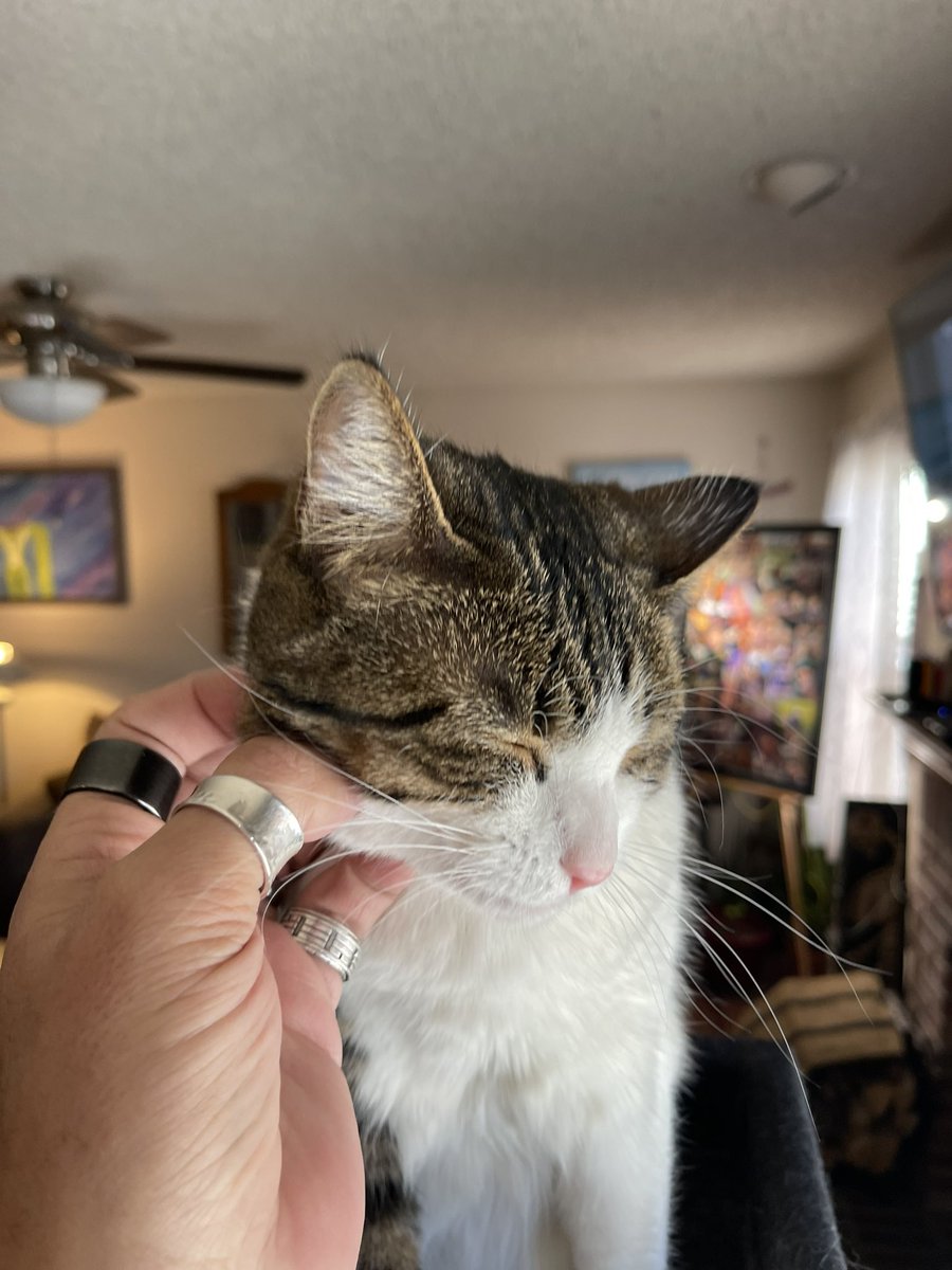 spiritof420's tweet photo. @stephpowerzzz My sweet Bella!
~ Spirit of 420
1️⃣💚
👁️🫶🏽🫵🏽
♾️☯️⭕️☮️💯
🔥🔥💨💨🌿🌲🌳
#SpiritOf420💨🌿🌲🌳
#DankTube🌲📺
#BeMoreStrange🤪
#SO420🥴
#Mmemberville
#StonerFam
#420Life
#CannabisCommunity https://t.co/nMkKjtxPMr
