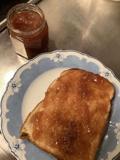 出雲の知り合いから頂いたイチジクの甘露煮を
ヨーグルトに入れて食べたらうんこ止まらなくなった
画像はイチジクジャムを塗ったパンよ 