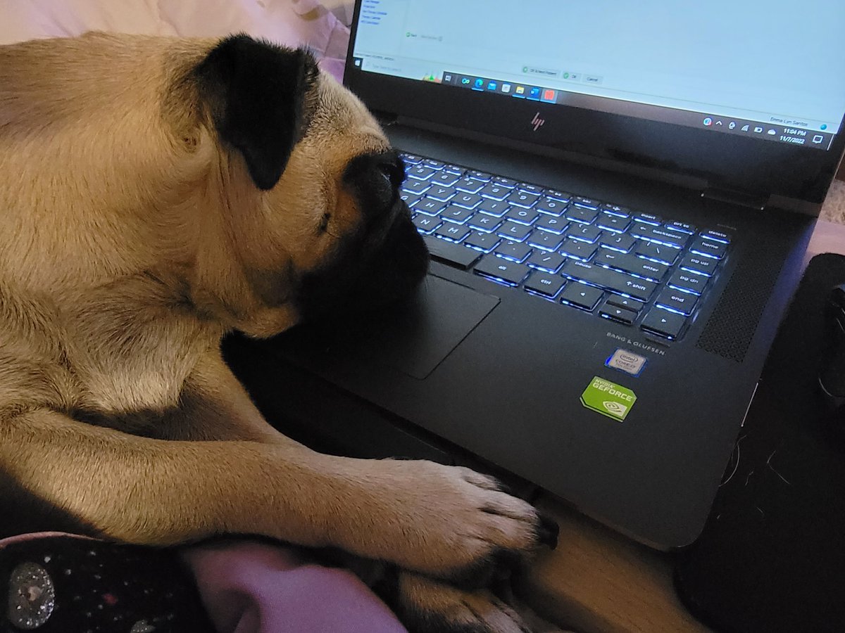 iamureynjel's tweet photo. @DaysOfOurDodger When she doesn't want mommy to do work. https://t.co/STC7gjS4hi