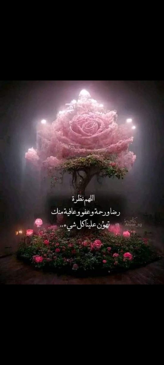 AgazzarAyman's tweet photo. @shimaam92120052 https://t.co/dSqtr8mPit