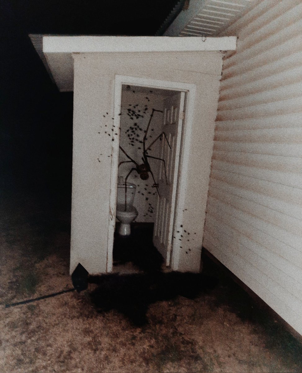 benadryl tweet media