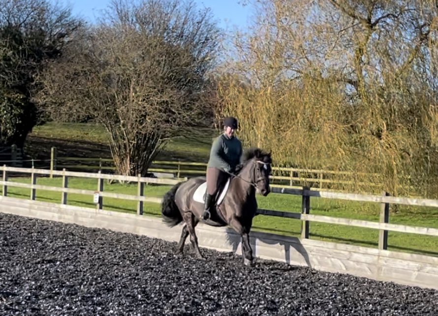 sarahforrest31's tweet image. 🤣🤣 the difference it makes when I just ride my poor pony better! #DoItProperly!!