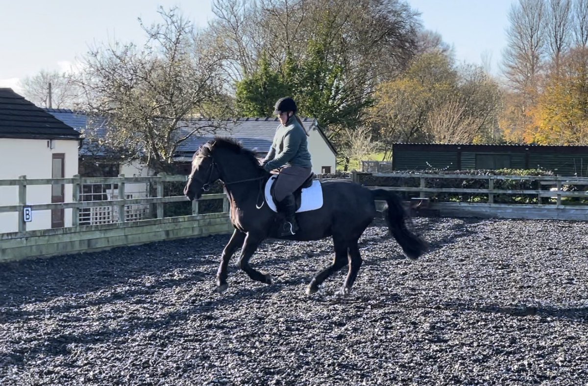 sarahforrest31's tweet image. 🤣🤣 the difference it makes when I just ride my poor pony better! #DoItProperly!!