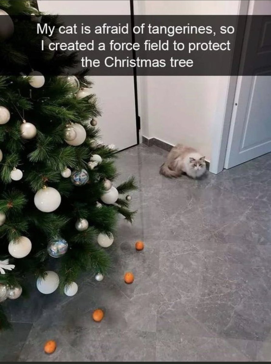 JenZurko's tweet photo. @marcusleshock This is why we don’t get a real tree. Our cat is a Christmas tree assassin. You could always try this 👇🏼 https://t.co/kd6jXvNMEr