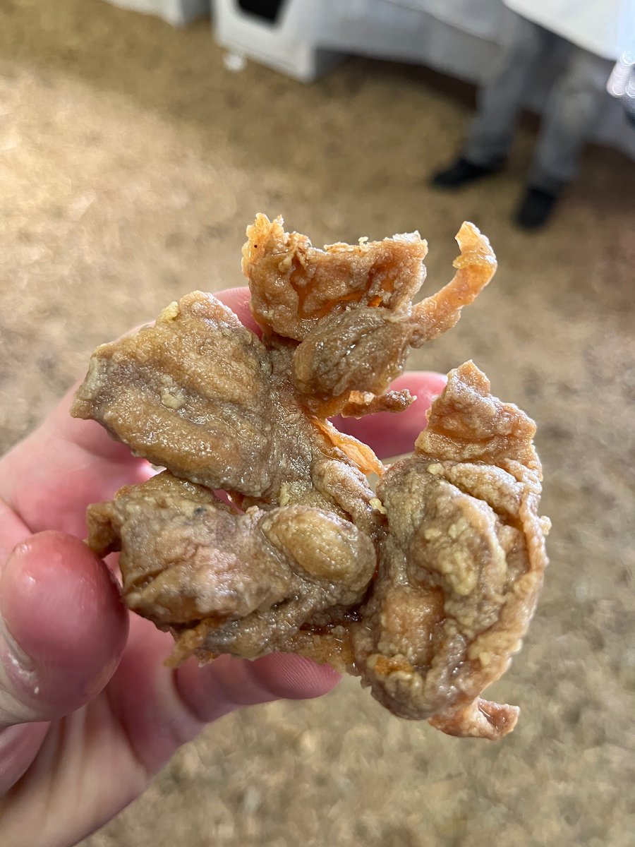 jonreismanMD's tweet image. My first fried chitlin.
#chitlinstrut 2022
Salley #SouthCarolina