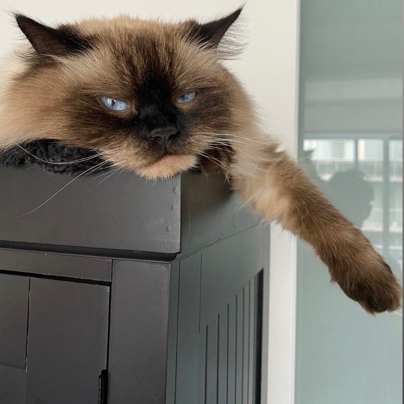 Where my buddies at?? 🥺