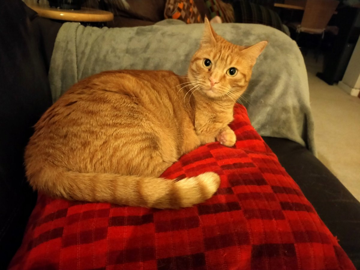 samantha elmhirst tweet media