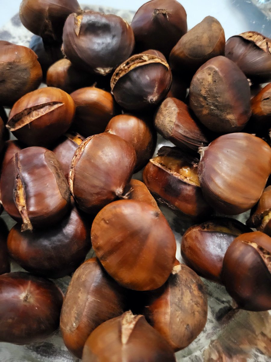 berisim2006's tweet photo. 🌰🍂🍁☘️﷽´⁀⋱‿✫

Selamün Aleykümm

Her Mevsįmįn
Kendįne özgü
Güzellįģį vardįr

Nįsan Yešįlle
Eylül Sarįyla
Kasįm
Kestaneyle
Güzelll

Sevgį Huzur dolu
Akšamįnįz olsunn
Selăm ve DUA įleee☘️🍁🍂🌰 https://t.co/tOQhwhu5xc