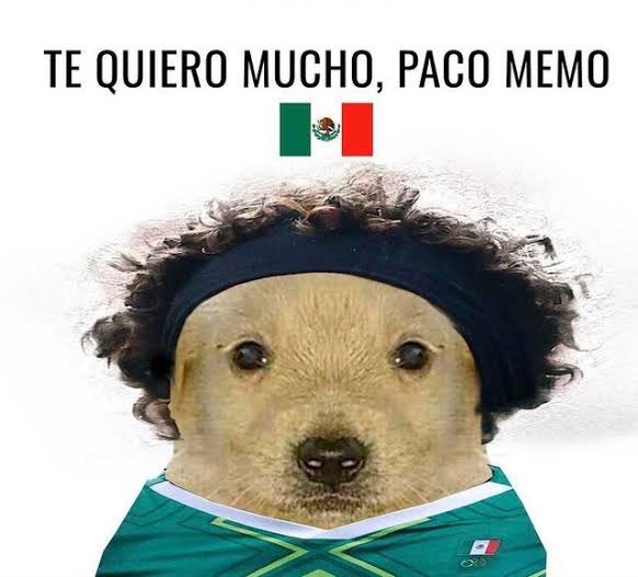 Revin36470935's tweet photo. @alkapone Confío https://t.co/T0QfvR6s95