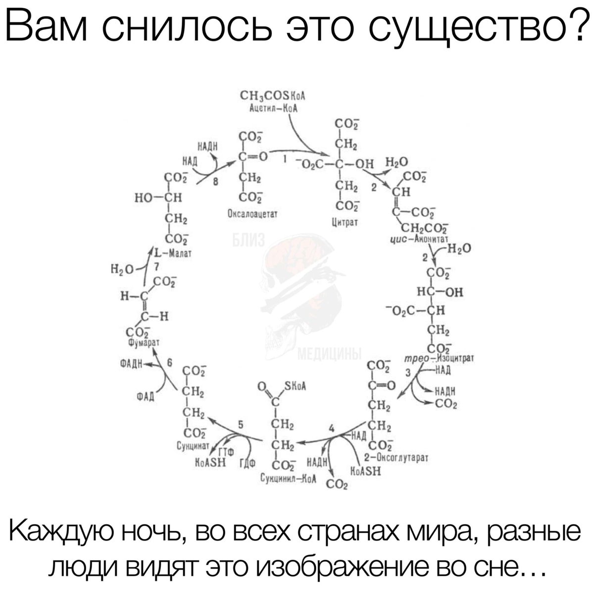 Врач по расчёту (@doctocalculator) on Twitter photo 
