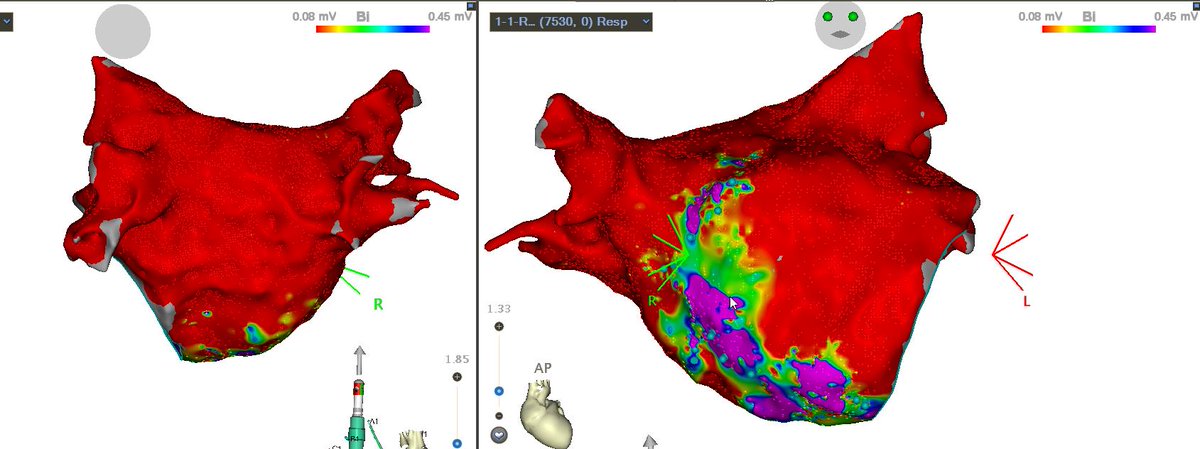 Edward Gerstenfeld tweet media