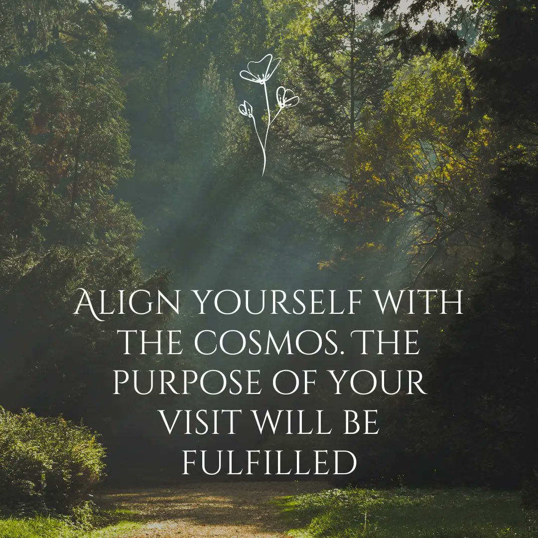 Mohan Kholiya tweet media