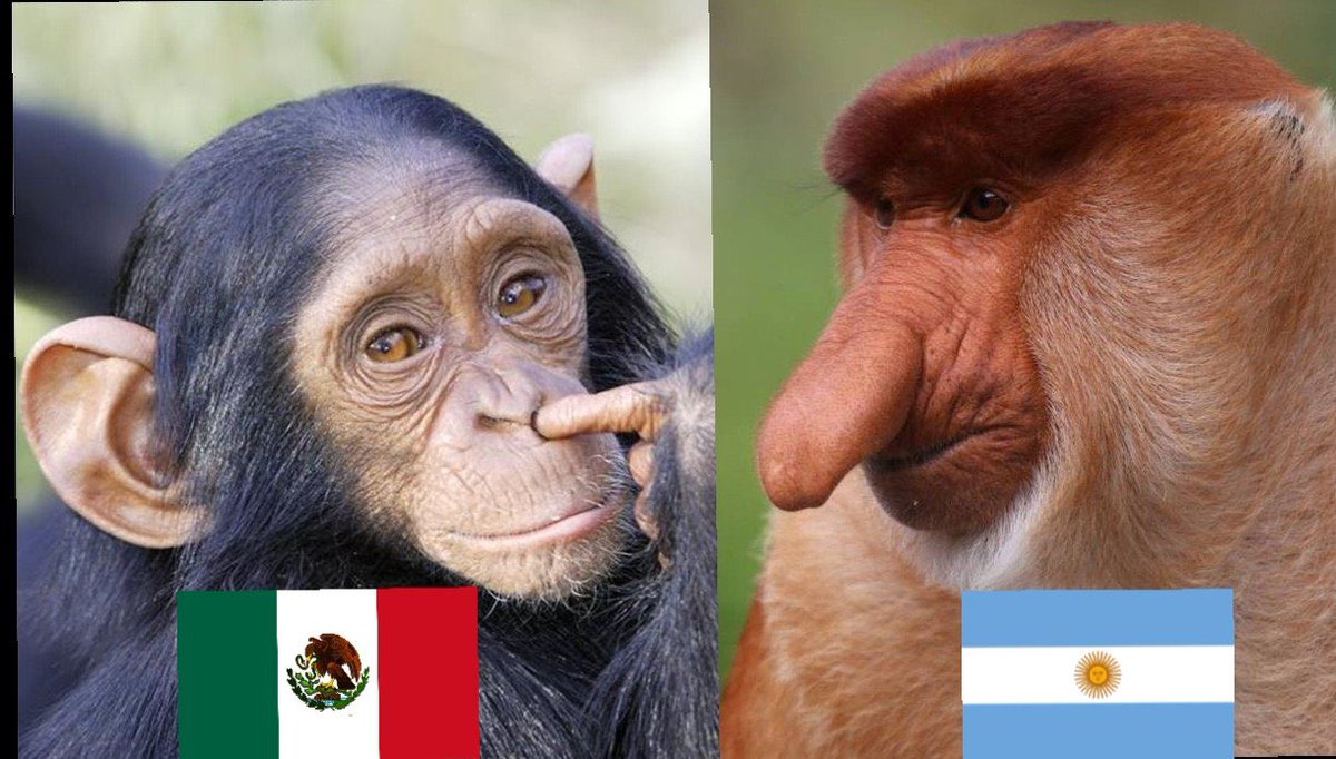 MoaiGr's tweet photo. Se viene pelea de monos con cuchillos https://t.co/aMnlVfS9Ai