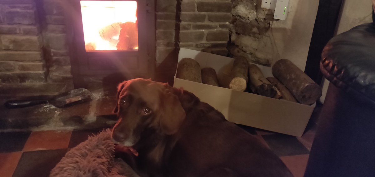 Derek Brockway - weatherman (@derektheweather) on Twitter photo I think Bella has the right idea on a wet November night. Very cosy and warm in <a href="/starbunkhouse/">The Star Bunkhouse</a>. I think Bella has the right idea on a wet November night. Very cosy and warm in <a href="/starbunkhouse/">The Star Bunkhouse</a>.