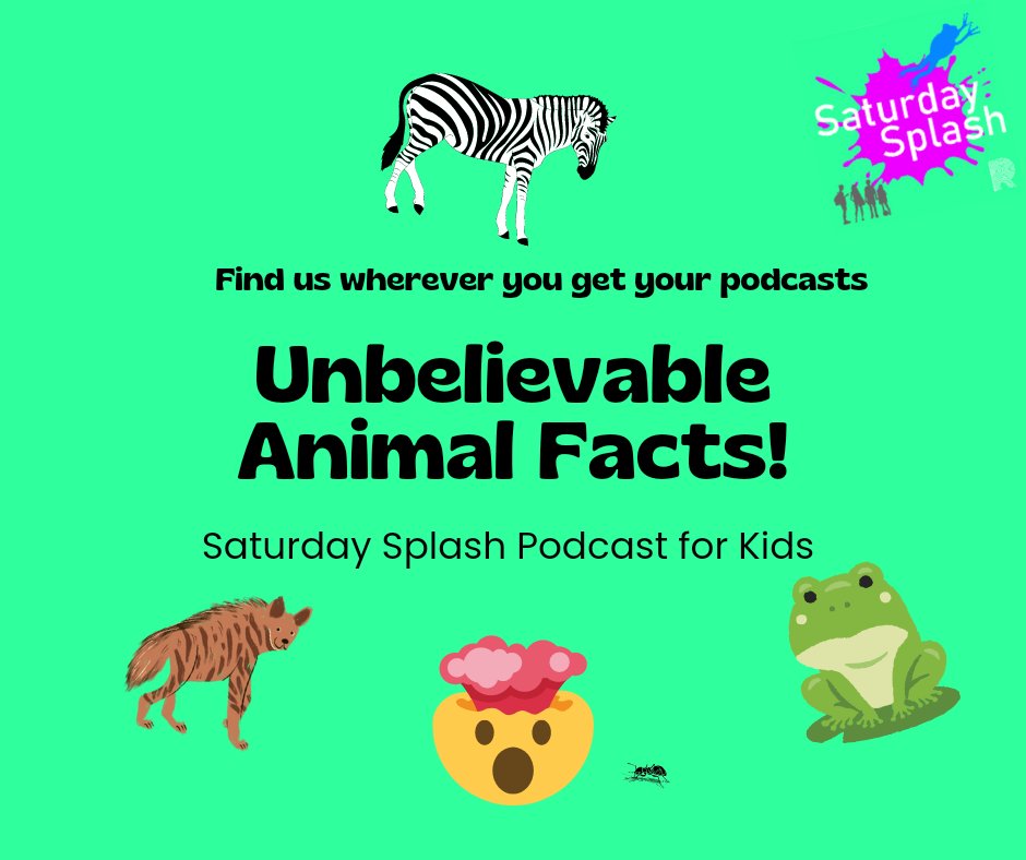 saturday_splash's tweet photo. New episode out today! Full of frogs, hyenas, zebras and speedy sloths!

@ThisisRiverside
@rosie_snooper
@itsSoundCarrot

#kidscontent #kidspodcast  #kidsnature  #kidsshows  #parents  #familypodcast  #family #animals #stem https://t.co/yFNJclJAwO