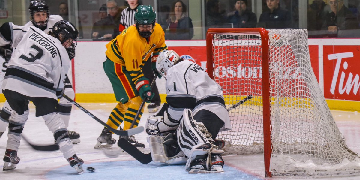 hockey for all centre tweet media