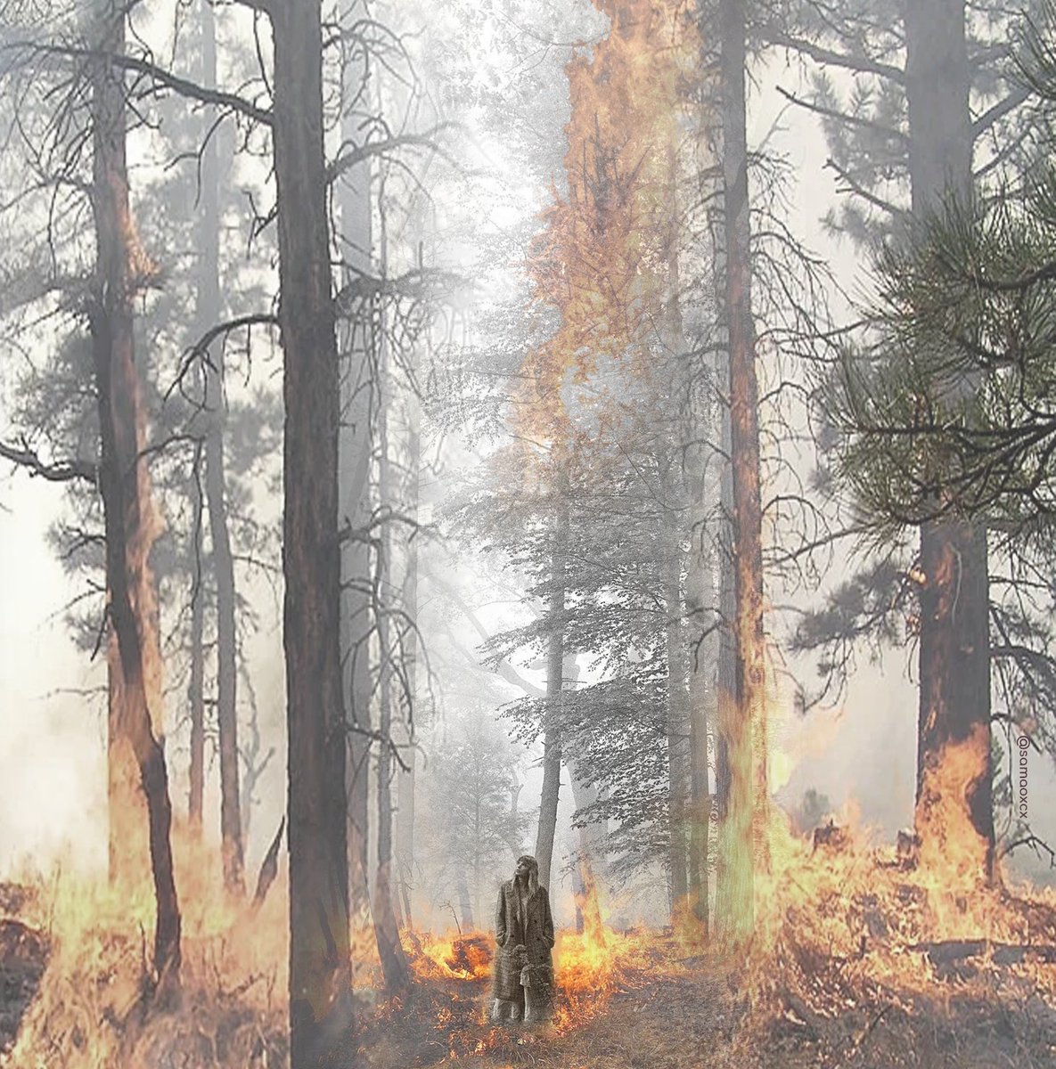 swiftoursonggg's tweet image. what if i said &quot;midnights is so much better than folklore&quot;.