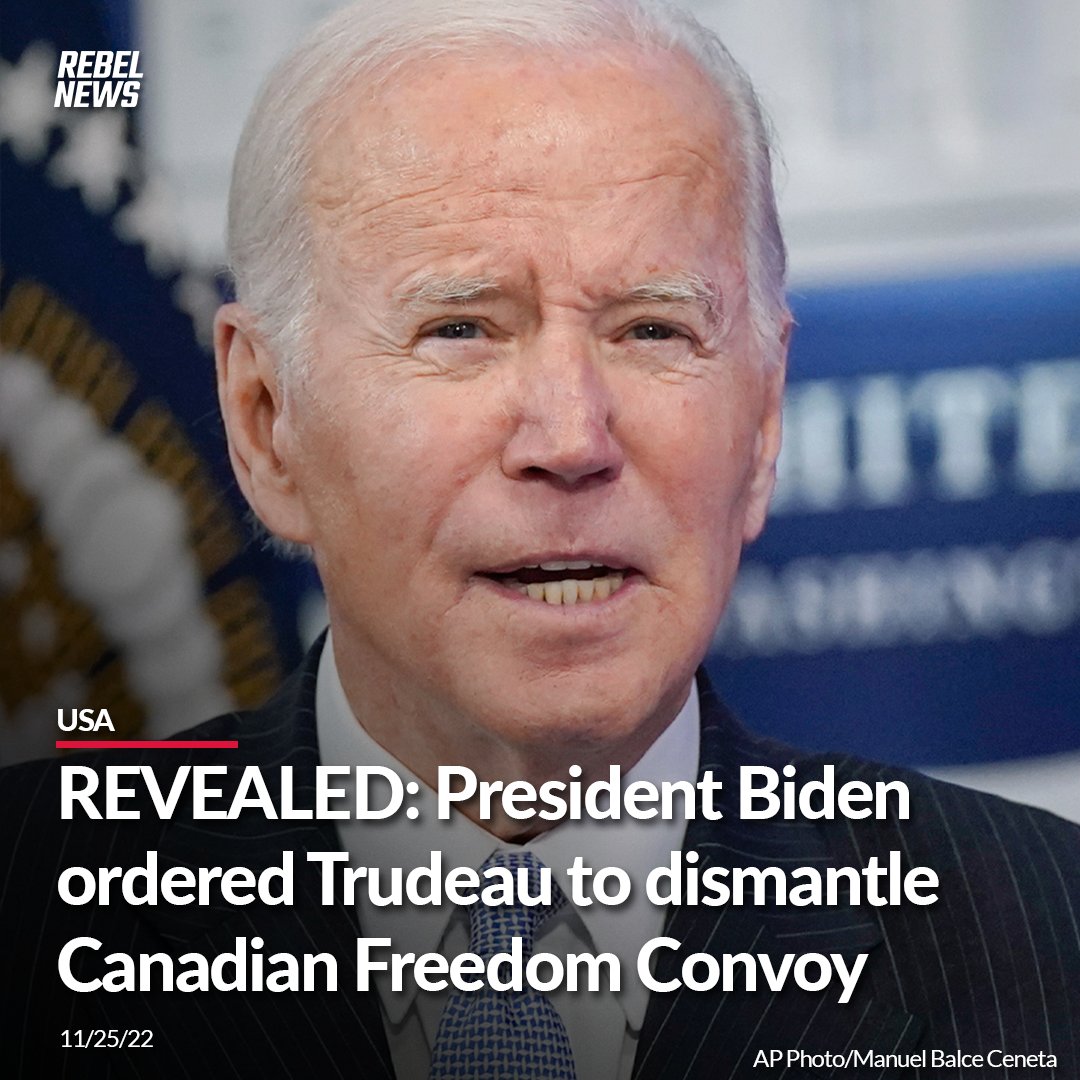 Rebel News tweet media