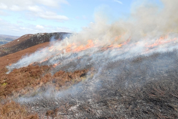 Heather burning ban...Greenpeace responds:

GWCT received a reply outlining Greenpeace’s position, which reiterates the viewpoint that the “weight of scientific evidence shows heather burning, in particular, is damaging to English peatlands”...

Read more: gwct.org.uk/blogs/news/202…