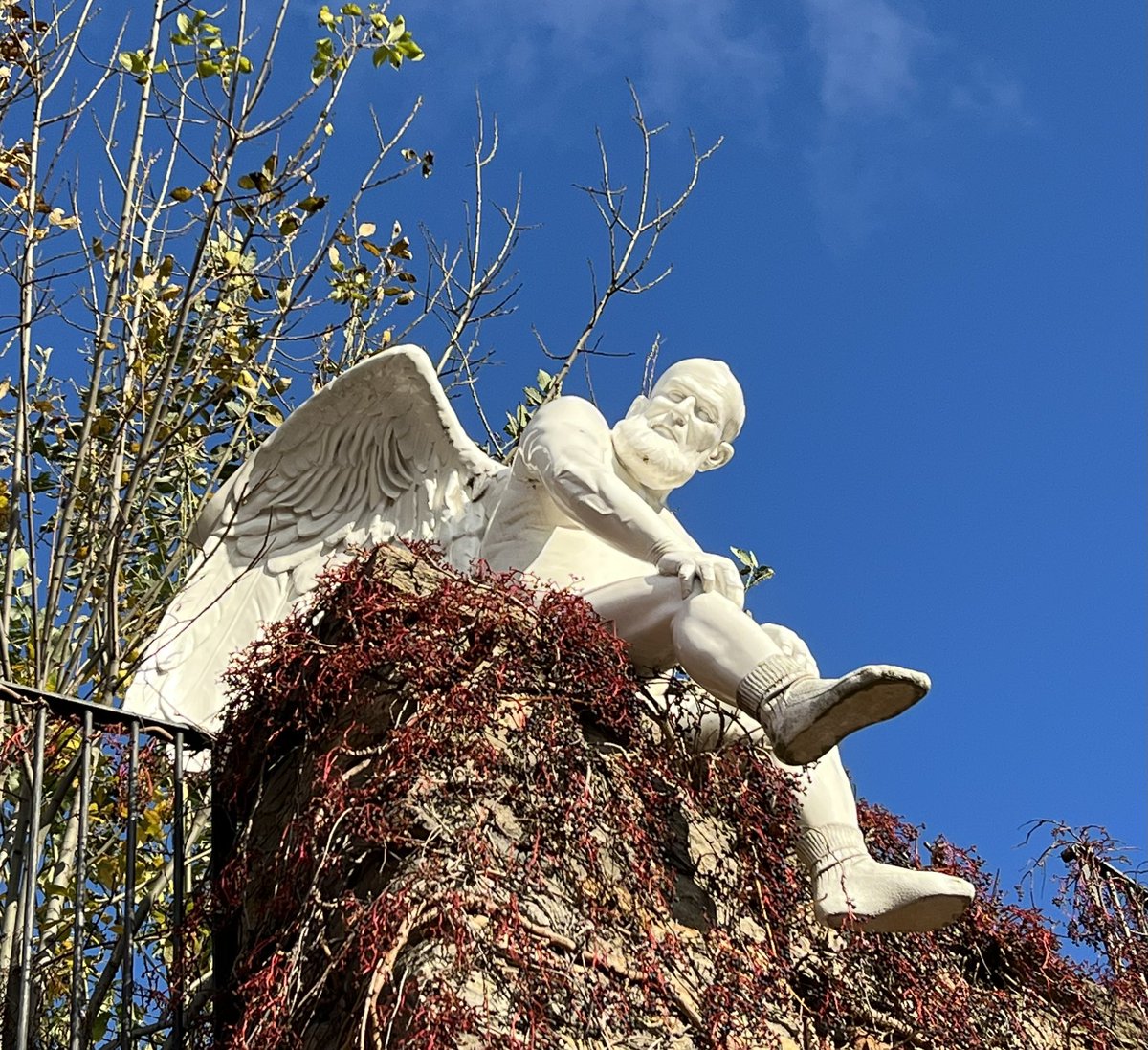 Kateřina Věra Holna tweet media