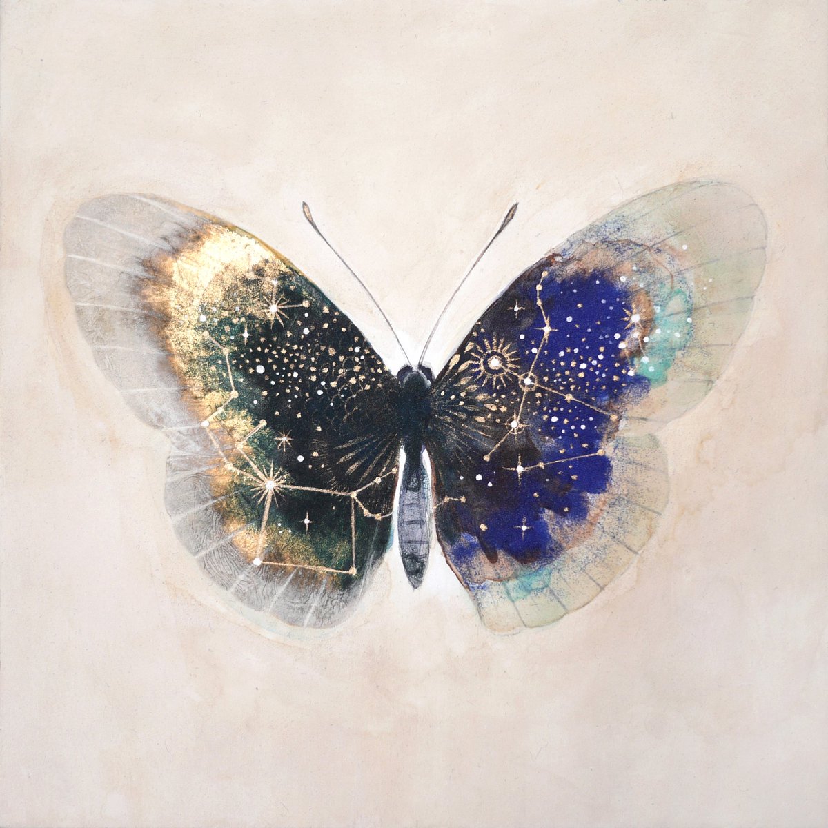 「蝶の絵は蝶自体を描きたいわけでは無く、蝶を通して魂や宇宙を表現したいと思っていま」|車谷 典子のイラスト
