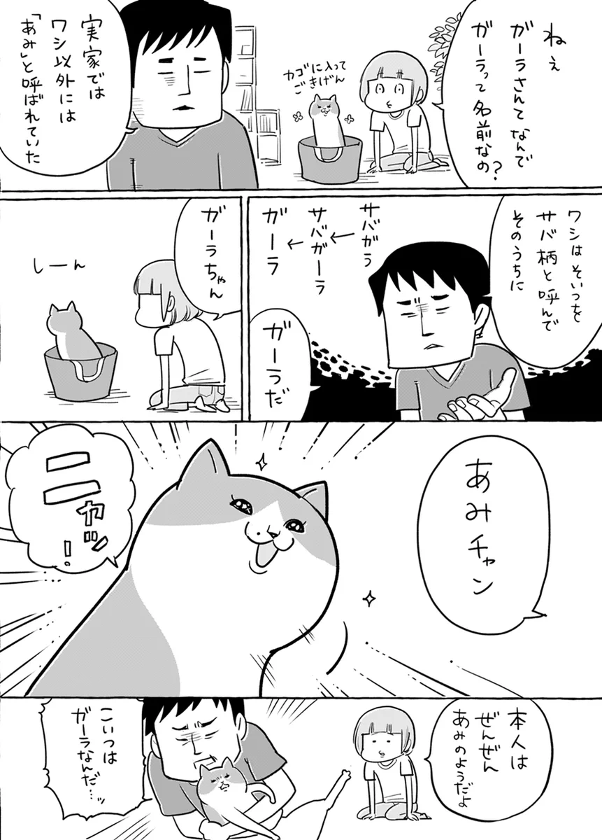 「ガーラさん」猫の名前の由来。間違えてつけちゃっている夫さん可愛い。