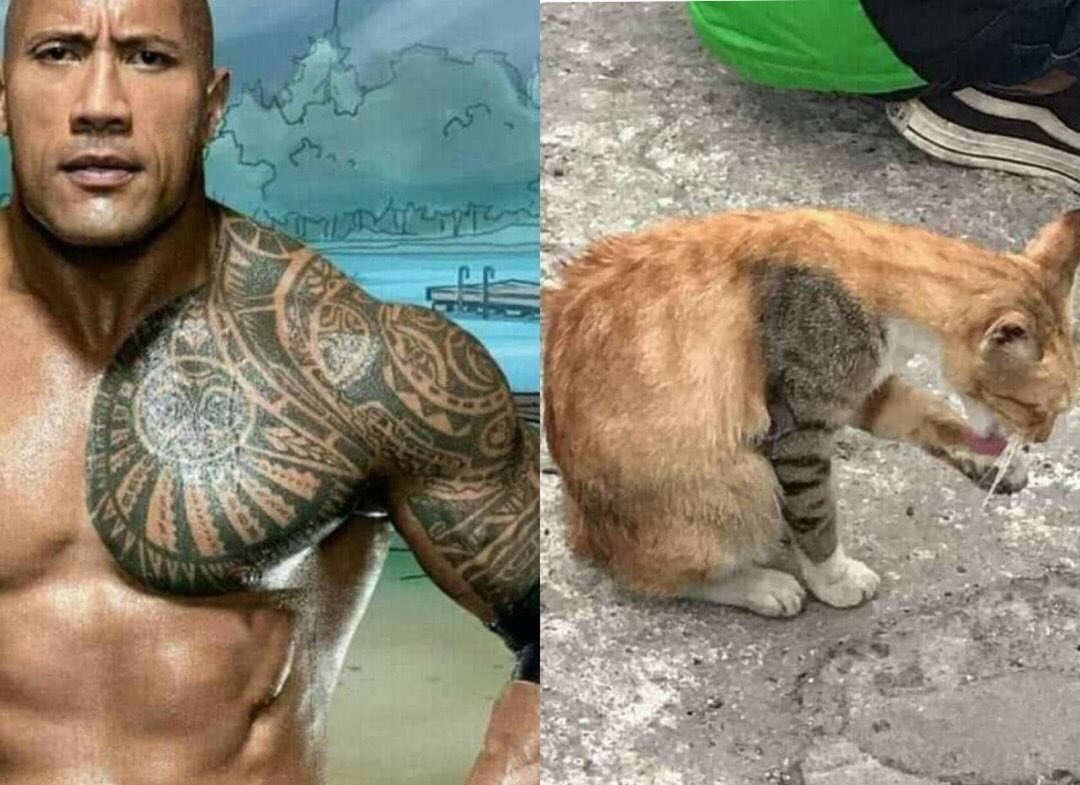 shitpostverdade's tweet photo. https://t.co/X4kYD7mBHB