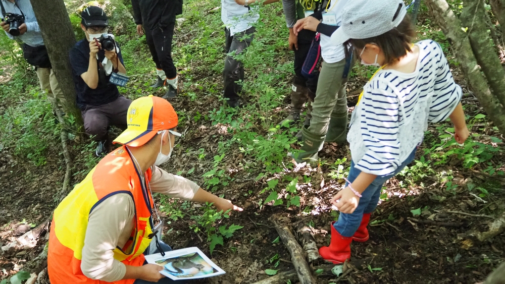 JapanGov's tweet photo. In #Otsuchi in #Iwate, the @otsuchi_gibier sees pest fauna as assets. Trapped deer become #gibier food products and deerskin goods, while the process itself is offered as a chance to learn in the form of “gibier tourism.” 
https://t.co/TjOU8KIc4a

#GlobalGoals #SDGs https://t.co/o3xy6HVeHM