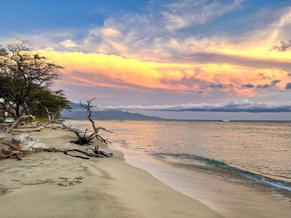 Maui's tweet photo. Whichever reason is leading you to Maui this Winter, we've got some Deals & Steals for the upcoming months.
https://t.co/hhcNsv2cXu
#mauiwinter #maui https://t.co/dOsKBQR5tC