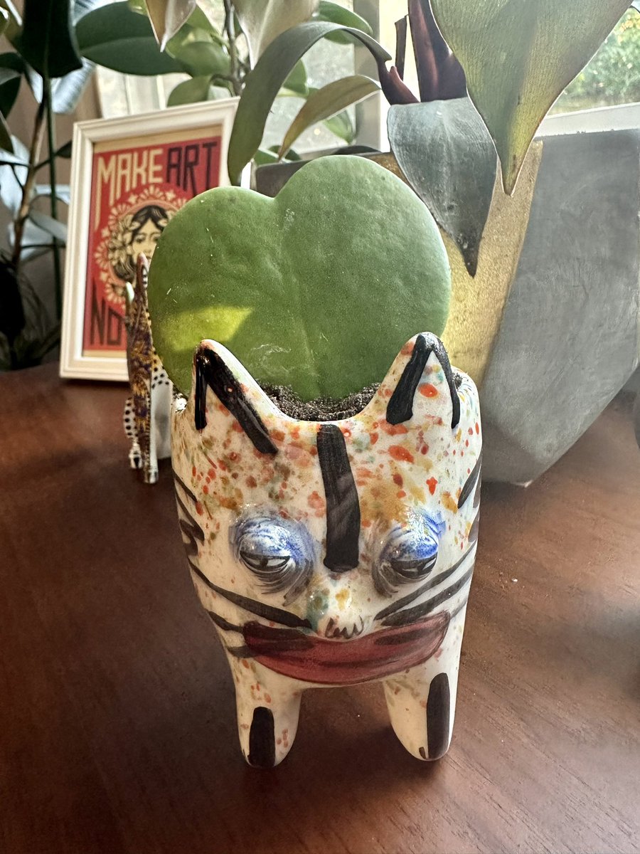 ___schmitty___'s tweet image. Newest plant babies courtesy of the most adorable small biz, the PlantHouse in Old Town. They will pot your plants for free and even “diagnose” plants you’re having trouble with! #SmallBusinessSaturday