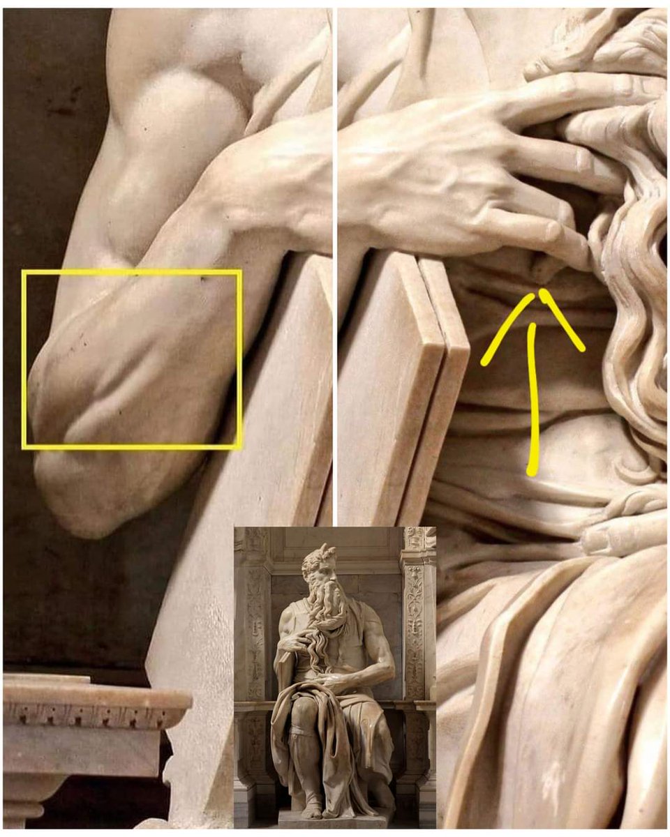 archeohistories's tweet photo. In Michelangelo's Moses, made in 1513-1515 CE, there is a small muscle carved into forearm. Human body contracts this muscle only when little finger is lifted, otherwise it remains hidden.

© Darius

#archaeohistories https://t.co/jc94qtAhma