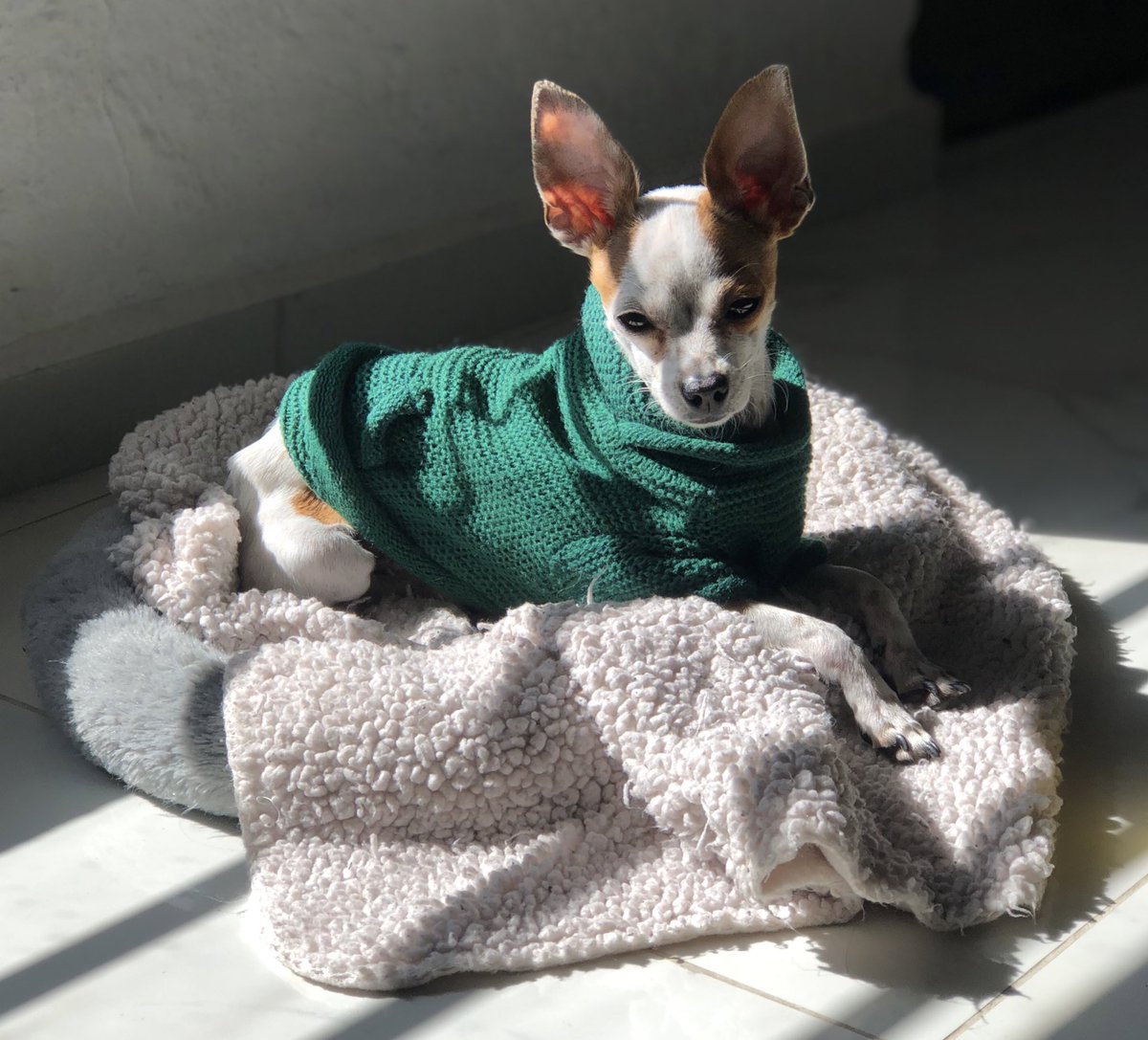 dirby2022's tweet image. 