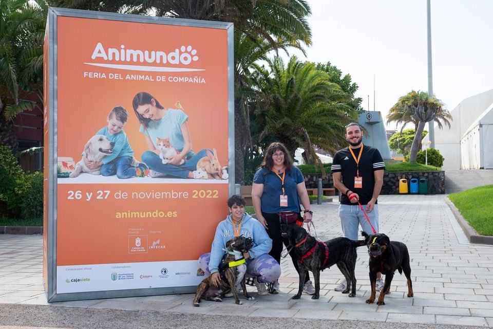 infecar's tweet image. Gracias a todos los que nos acompañaron en nuestro primer día de #Animundo 🐶🐱, la Feria del Animal de Compañía! 

Esta edición se centra en la importancia de la concienciación, el respeto y el bienestar de los animales de compañía.
