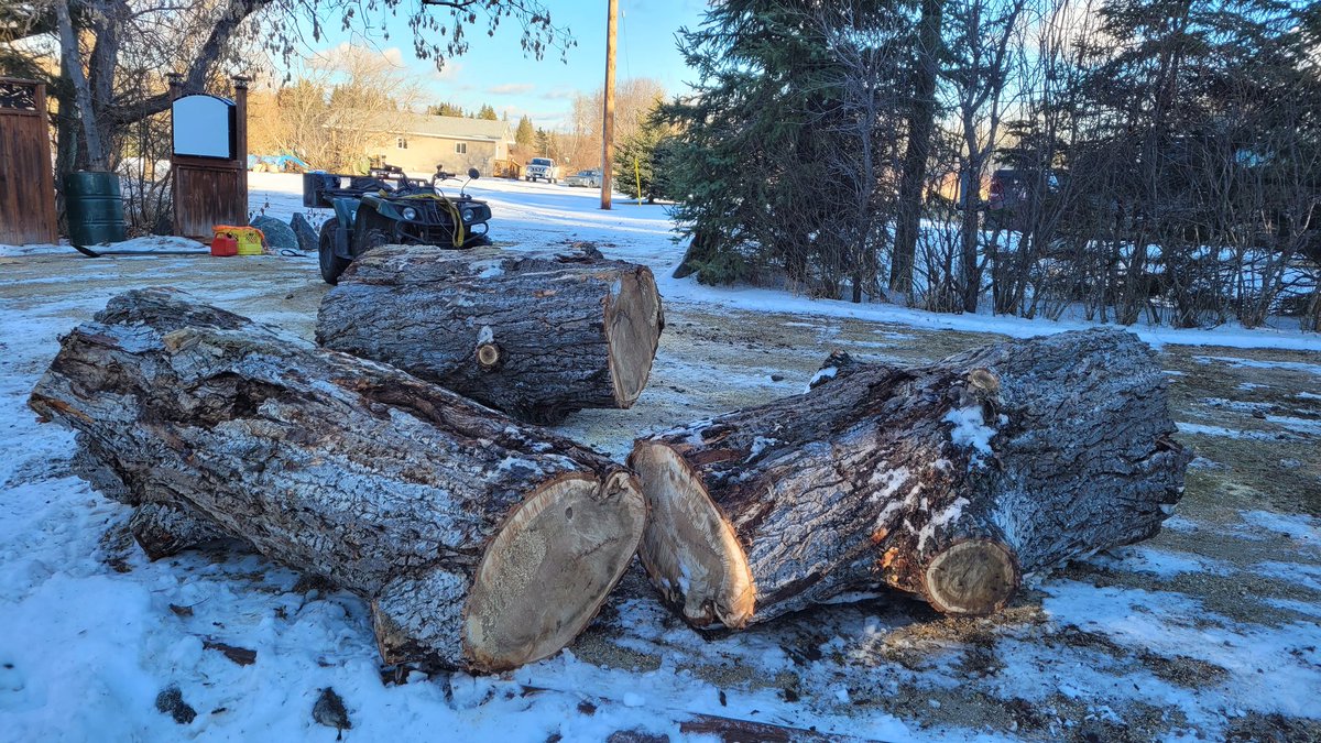 fishergirl39's tweet photo. This has been a very busy &amp; back breaking day. Just @darryl_kruk and I moving this #tree that we had taken down last week. The last picture is what is left in place #Robax and #rum tonight! https://t.co/MjIGrPcM2U