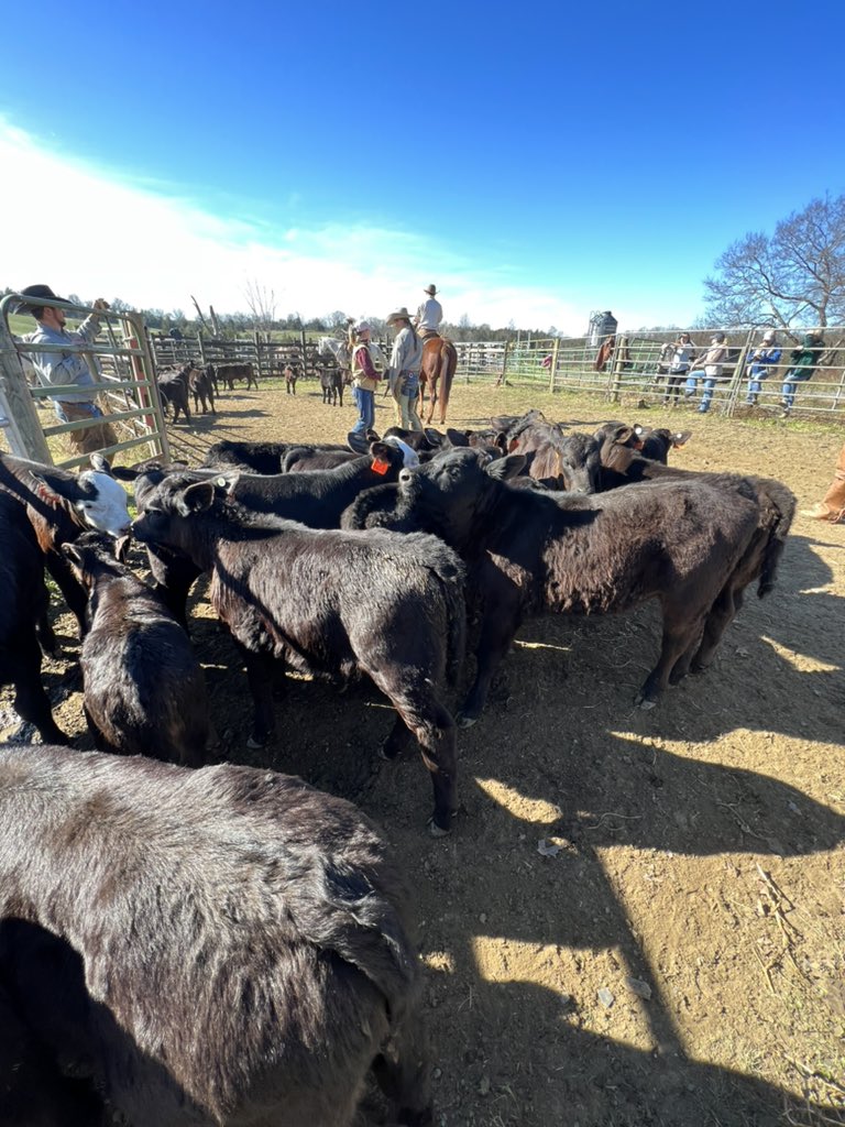 Peanut Coleman tweet media