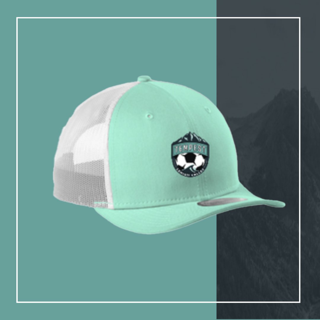 L.V. Tempest tweet media