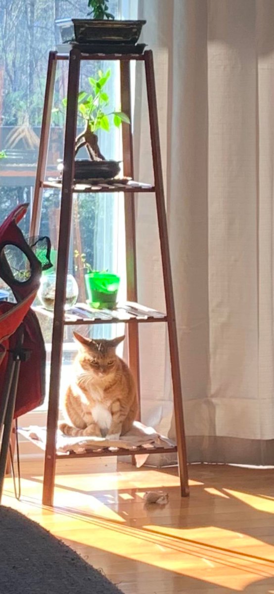 Need help identifying the plant on the bottom. Thanks
reddit.com/z5dnvo