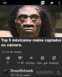 Splinter ANASHEEE (@splinteranashe) on Twitter photo 