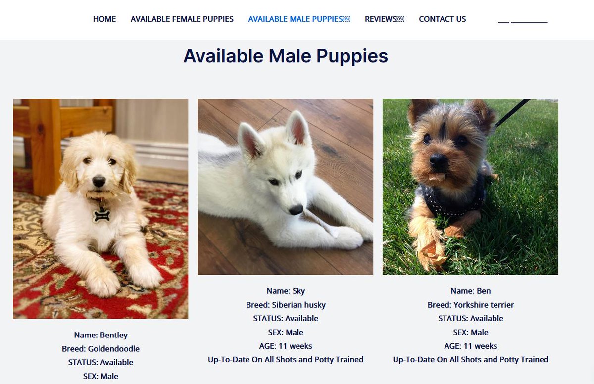 aa419's tweet photo. /onlyforlovinghome.comย @Namecheap
A very dear friend (not). #PetScam #IDTheft #Impersonation #Stalking #Coward
Targets women on Facebook that expose him, spoofing them. He stopped using .co.za ccTLDs. Selling same 10wk old dogs repeatedly for more than 10 months. https://t.co/yMuNpHhkrs