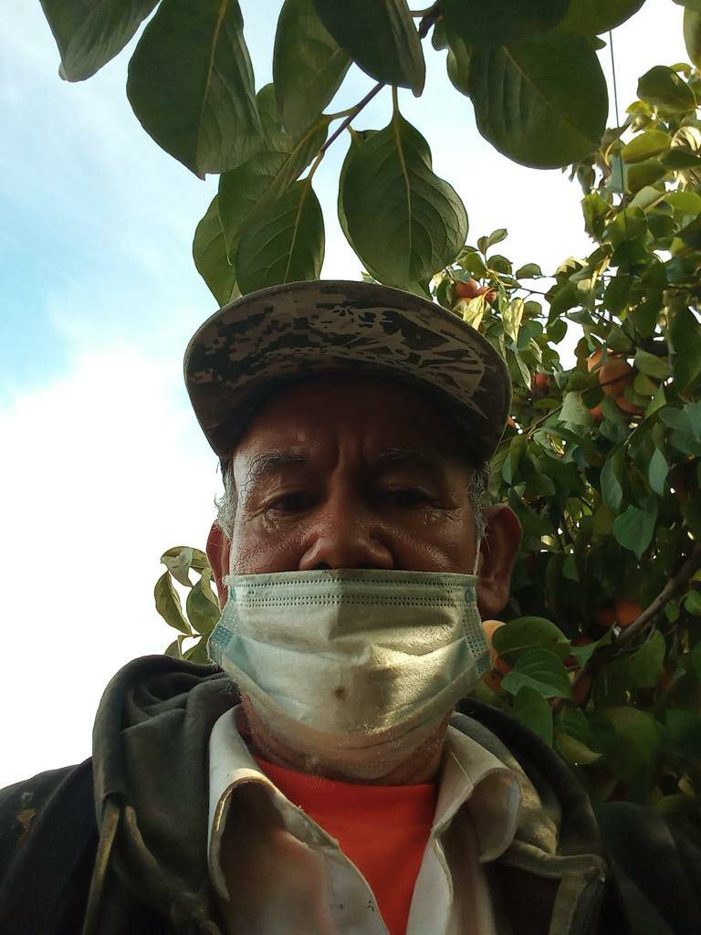 Meet Asuncion. He is a farm worker in the Fresno County CA área. At his age of 65+ he should be looking forward to retirement and spending his time with his extended family. Instead he is earning minimum wage picking persimmons 8 hours a day. #WeFeedYou