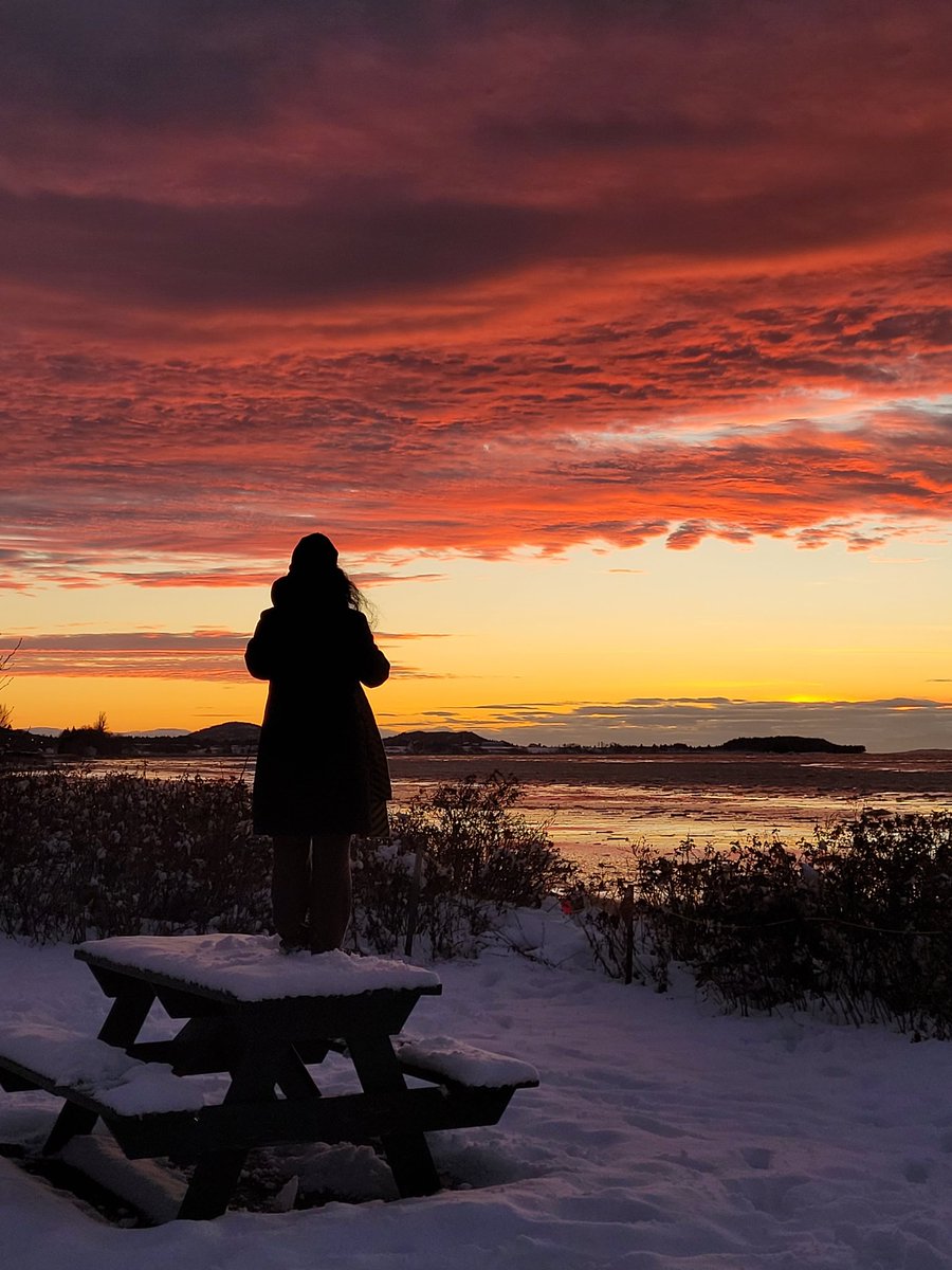 Bonne soirée Twitter 🌬❤️