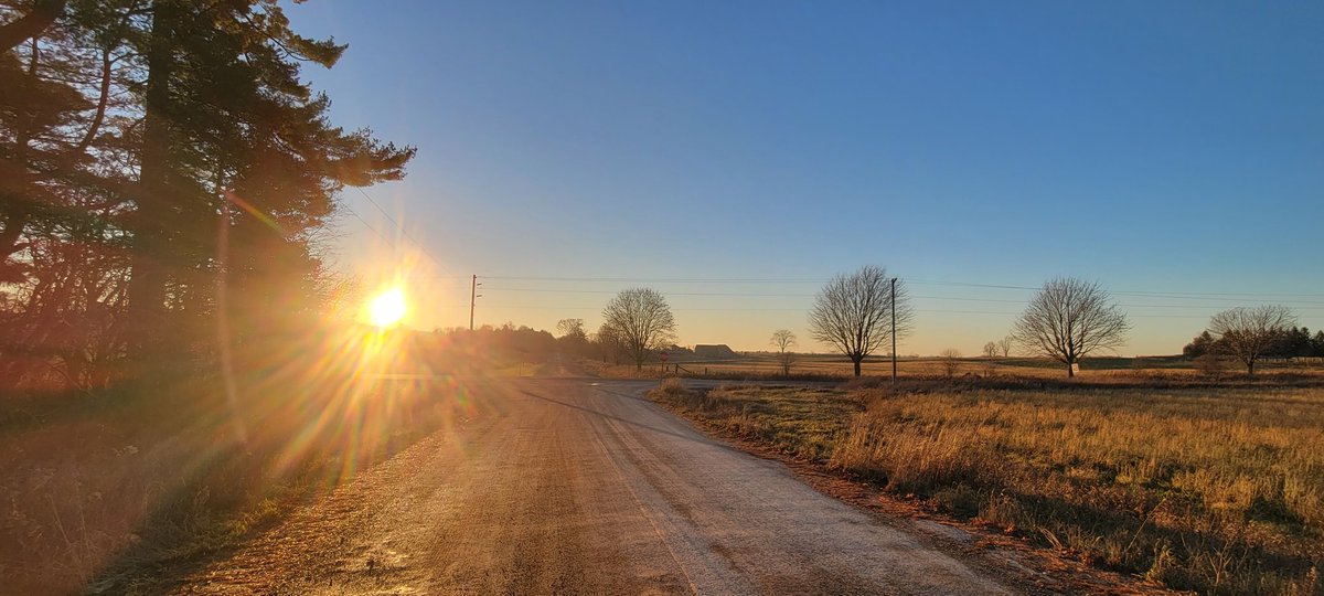 Jean Elizabeth Hamel tweet media