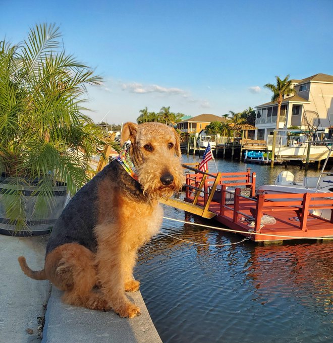 Handsome Marlen enjoying the sunset! https://t.co/UppyU9gt6O<a href="/tag/phmodelcontest"class="tags"><span>#phmodelcontest</span></a>